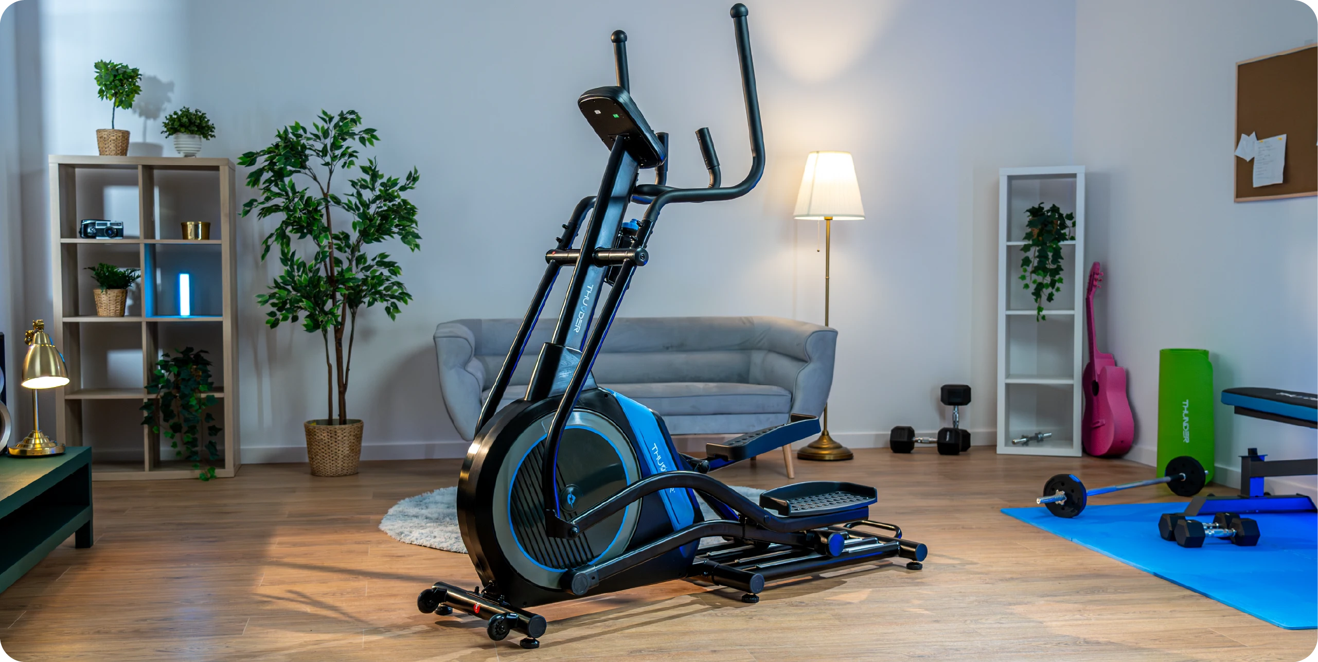 THUNDER BLAZE Trainer