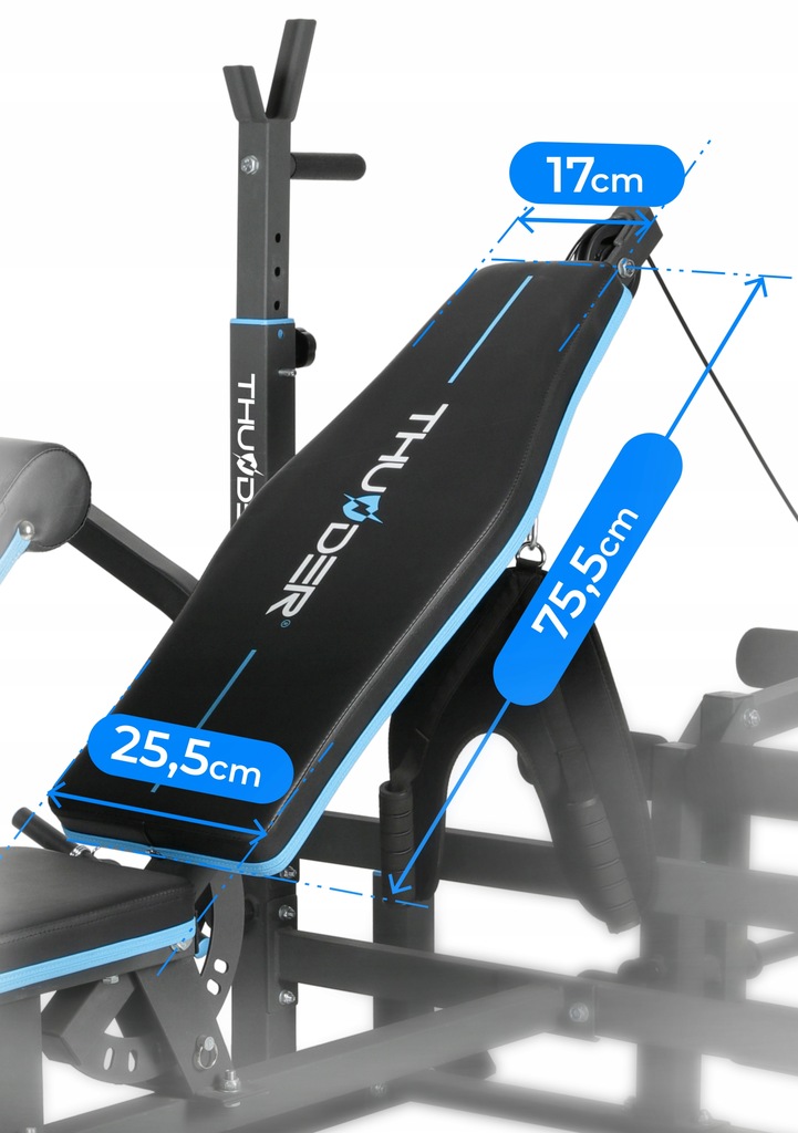 Advantages of the Vigor-C bench