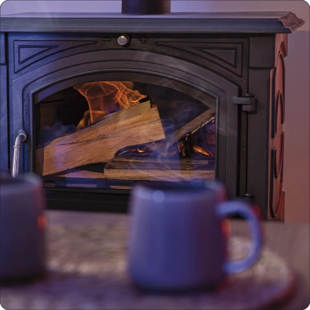 Cast iron wood-burning stove WESTA 17 kW