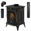 Cast iron wood stove AGNI 7 kW