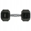 Hex dumbbell THUNDER 10 kg