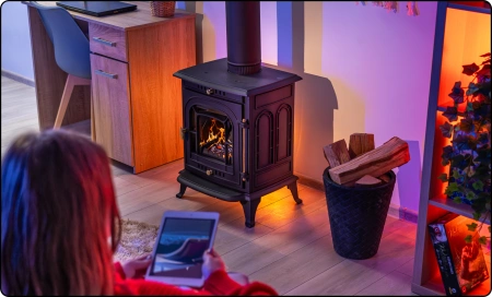 Cast iron wood stove AGNI 7 kW