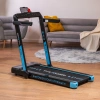 Treadmill THUNDER RACE-BLACK