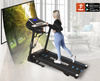 THUNDER RAPID-DS-BLACK electric treadmill